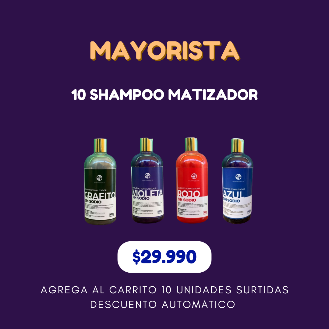 10 Shampoo Matizador Surtidos 500ml