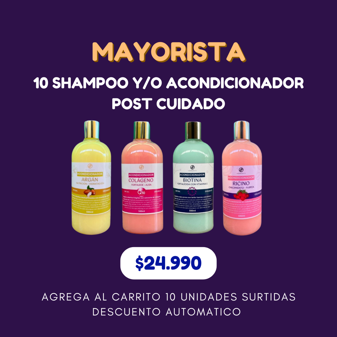 10 Shampoo sin sal Surtidos 500ml